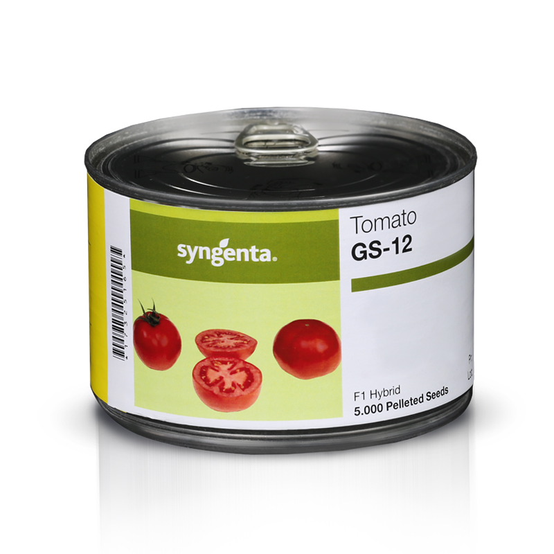 گوجه فرنگی هیبرید GS 12