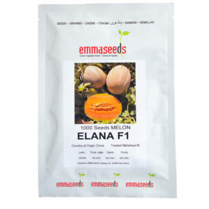 ملون هیبرید اِلانا (Elana F1)