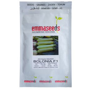 کدو هیبرید بولونیا (Bolonia F1)