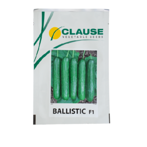 بذر خیار گلخانه‌ای هیبرید بالیستیک