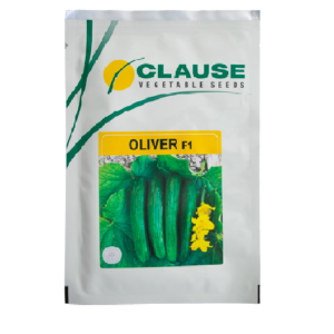بذر خیار هیبرید اولیور