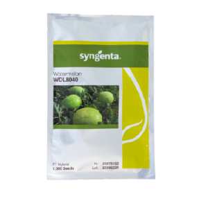 بذر هندوانه هیبرید چارلستون گری