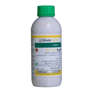 افوریا