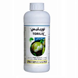 توریلیس