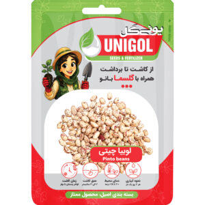 بذر لوبیا چیتی
