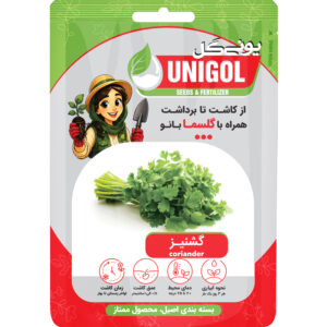 بذر گشنیز