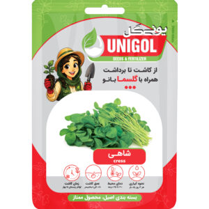بذر شاهی
