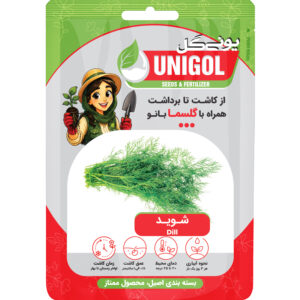 بذر شوید