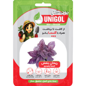 بذر ریحان بنفش