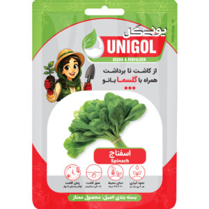 بذر اسفناج