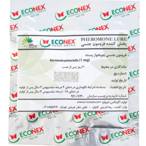 فرومون جنسی چوبخوار پسته