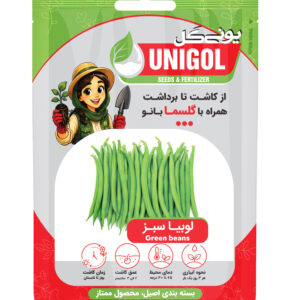 بذر لوبیا سبز